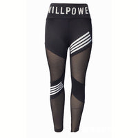 MeshFlex High-Waisted Plus-Size Sports Leggings-Black-2XL-State of Style