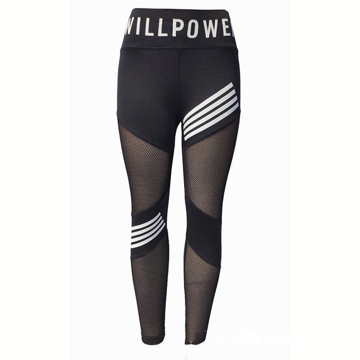 MeshFlex High-Waisted Plus-Size Sports Leggings-Black-2XL-State of Style