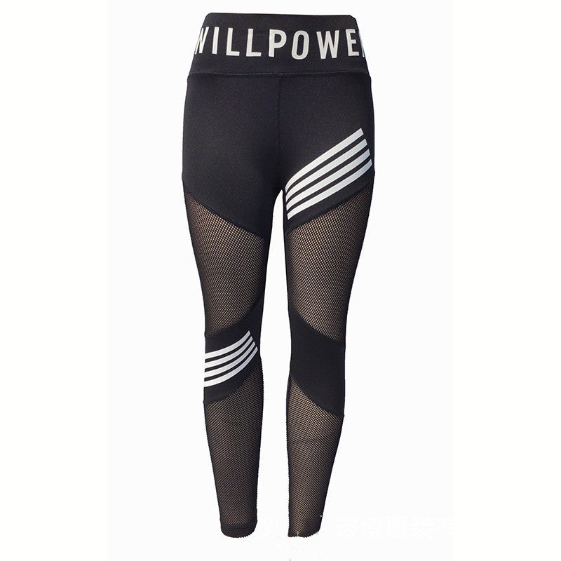 MeshFlex High-Waisted Plus-Size Sports Leggings-Black-2XL-State of Style