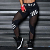 MeshFlex High-Waisted Plus-Size Sports Leggings-Black-2XL-State of Style
