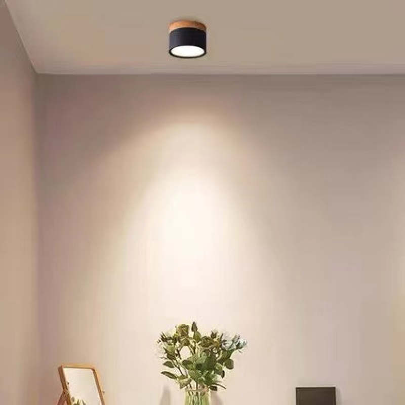 Morandi Style Modern LED Ceiling Light - LumiModo-5W-Warm White-Black-State of Style