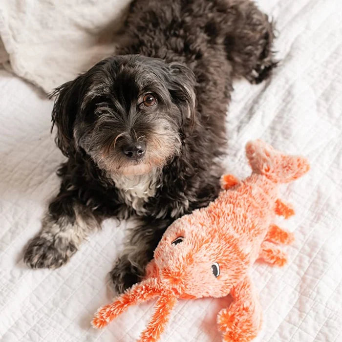Motion Sensor Dog Toy - PlayPal-Lobster-State of Style