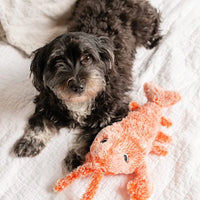 Moving Dog Toy with Motion Sensor - PlayPal-Lobster-State of Style