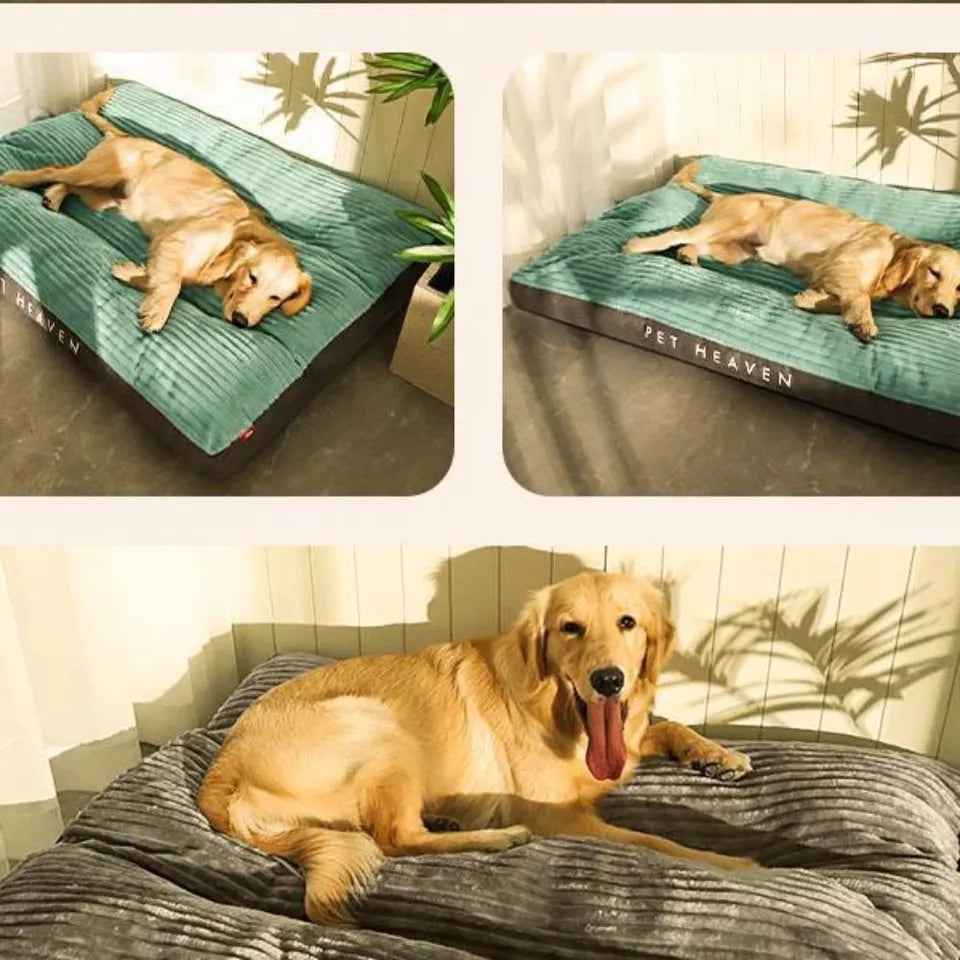 Orthopaedic Dog Bed with Removable Cover - SnuggleRest-Grey-L-State of Style