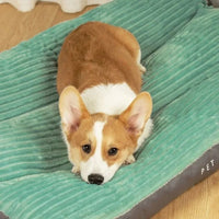 Orthopaedic Dog Bed with Removable Cover - SnuggleRest-Grey-L-State of Style
