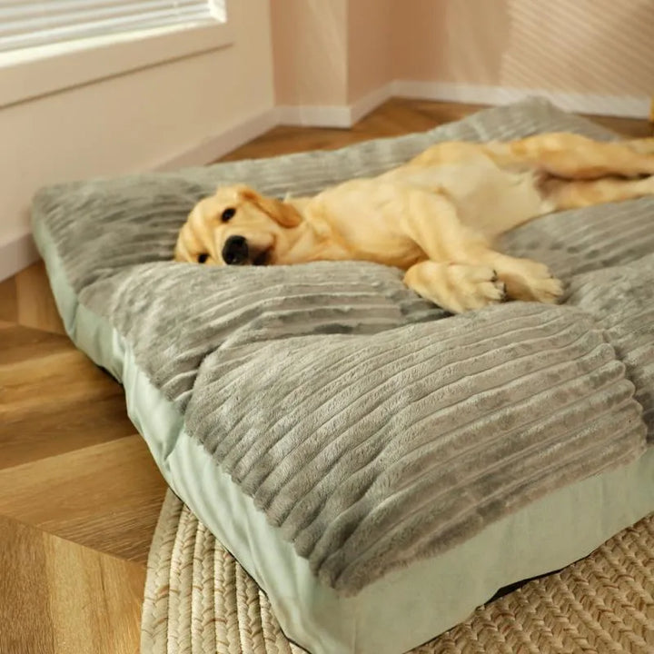 Orthopaedic Dog Bed with Removable Cover - SnuggleRest-Grey-L-State of Style