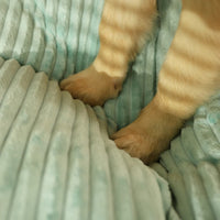 Orthopaedic Dog Bed with Removable Cover - SnuggleRest-Grey-L-State of Style
