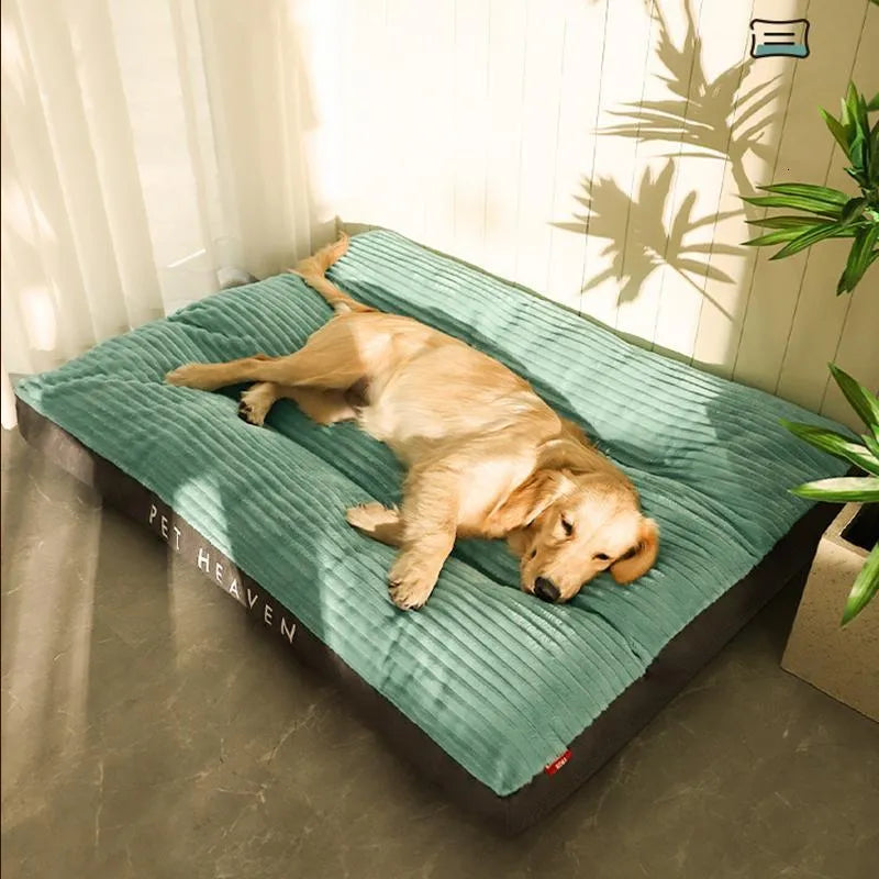 Orthopaedic Dog Bed with Removable Cover - SnuggleRest-Light green-L-State of Style