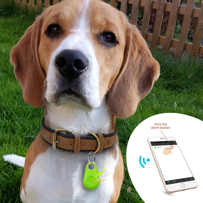 Pet GPS Tag - PawFinder-White-Standard-State of Style