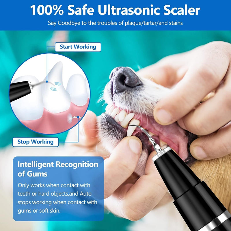 Pet Tartar Remover - Ultrasonic Tooth Cleaner-Black-State of Style