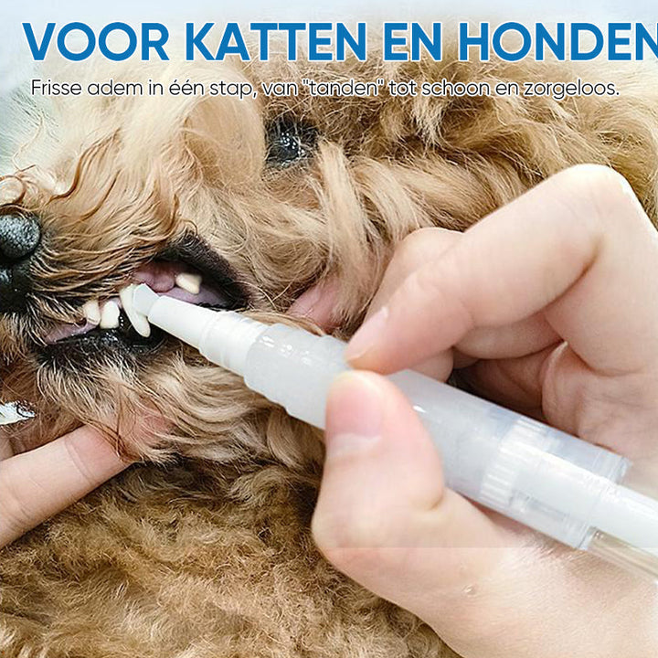 Pet Toothbrush Pen – PetSmile-1 piece-State of Style