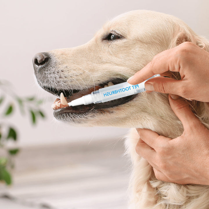 Pet Toothbrush Pen – PetSmile-1 piece-State of Style