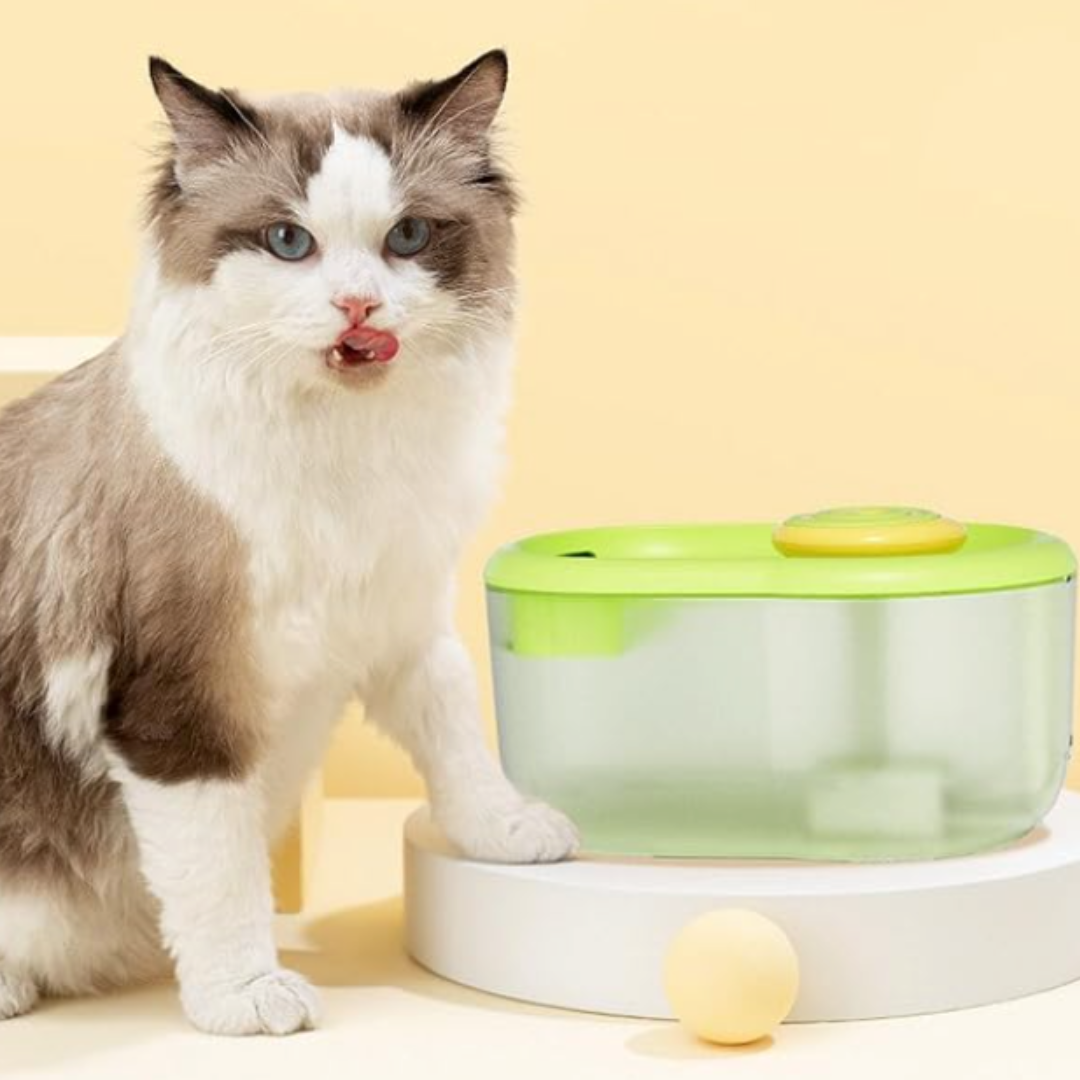 Pet Water Drinking Bowl with Pump - FunFlow-Green-State of Style
