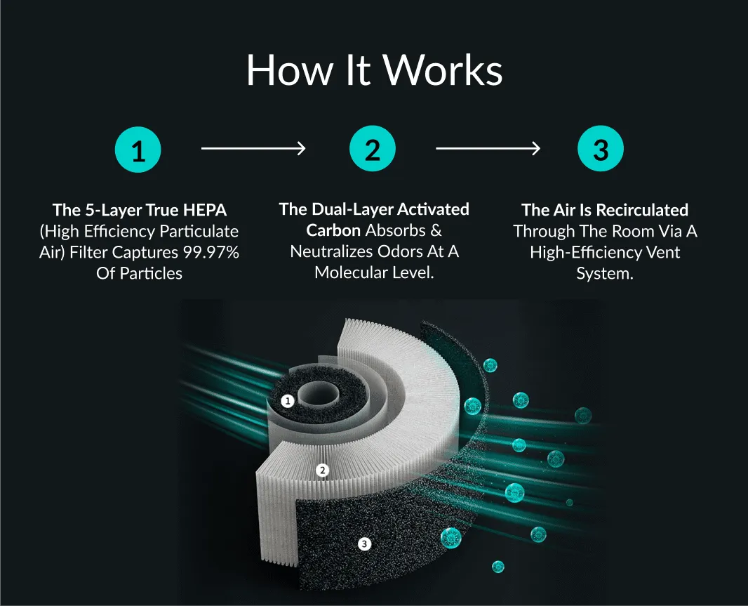 PetFresh Animal Scent Humidifier-Black-State of Style