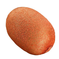 Plush Fruit Cushion - CuddleFruit-Kiwi-State of Style