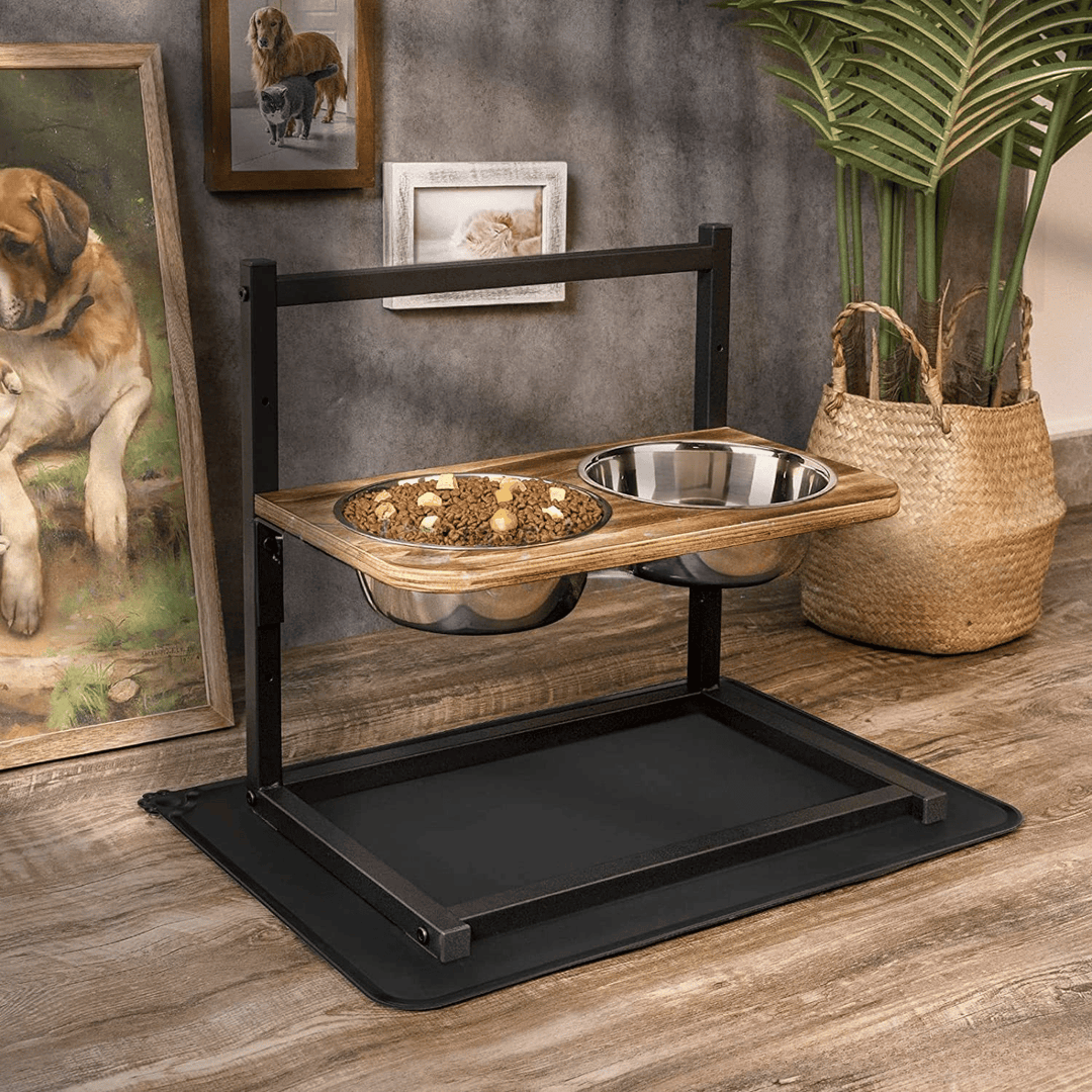 Premium Raised Dog Feeding Station - SnackHaven-State of Style