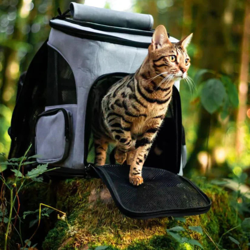 PurrPack™ Cat Backpack-Grey-State of Style