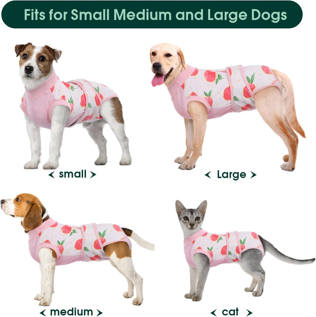 Quick Recovery Suit for Pets – Healing After Surgery-Apples-XS-State of Style