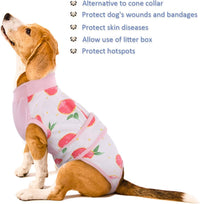 Quick Recovery Suit for Pets – Healing After Surgery-Apples-XS-State of Style