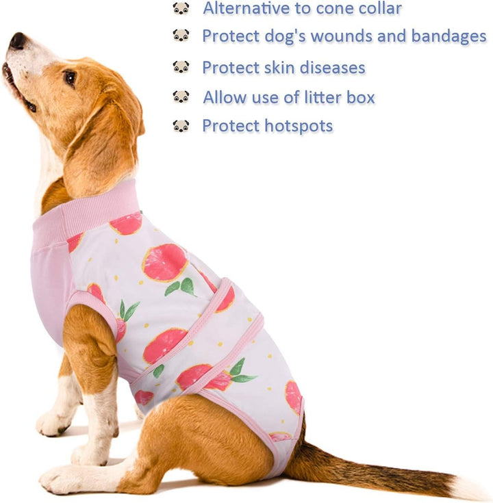 Quick Recovery Suit for Pets – Healing After Surgery-Apples-XS-State of Style