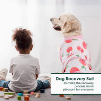 Quick Recovery Suit for Pets – Healing After Surgery-Apples-XS-State of Style