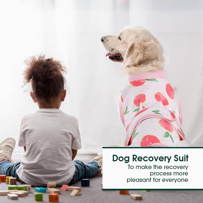 Quick Recovery Suit for Pets – Healing After Surgery-Apples-XS-State of Style