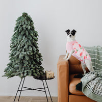 Quick Recovery Suit for Pets – Healing After Surgery-Apples-XS-State of Style