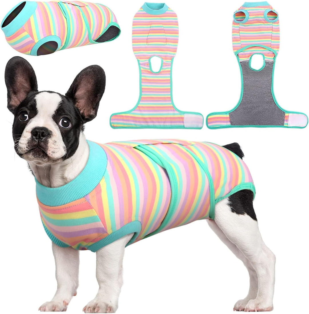 Quick Recovery Suit for Pets – Healing After Surgery-Apples-XS-State of Style