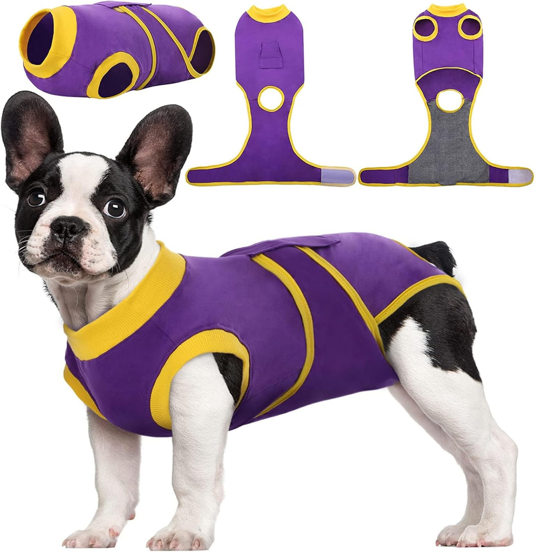 Quick Recovery Suit for Pets – Healing After Surgery-Apples-XS-State of Style