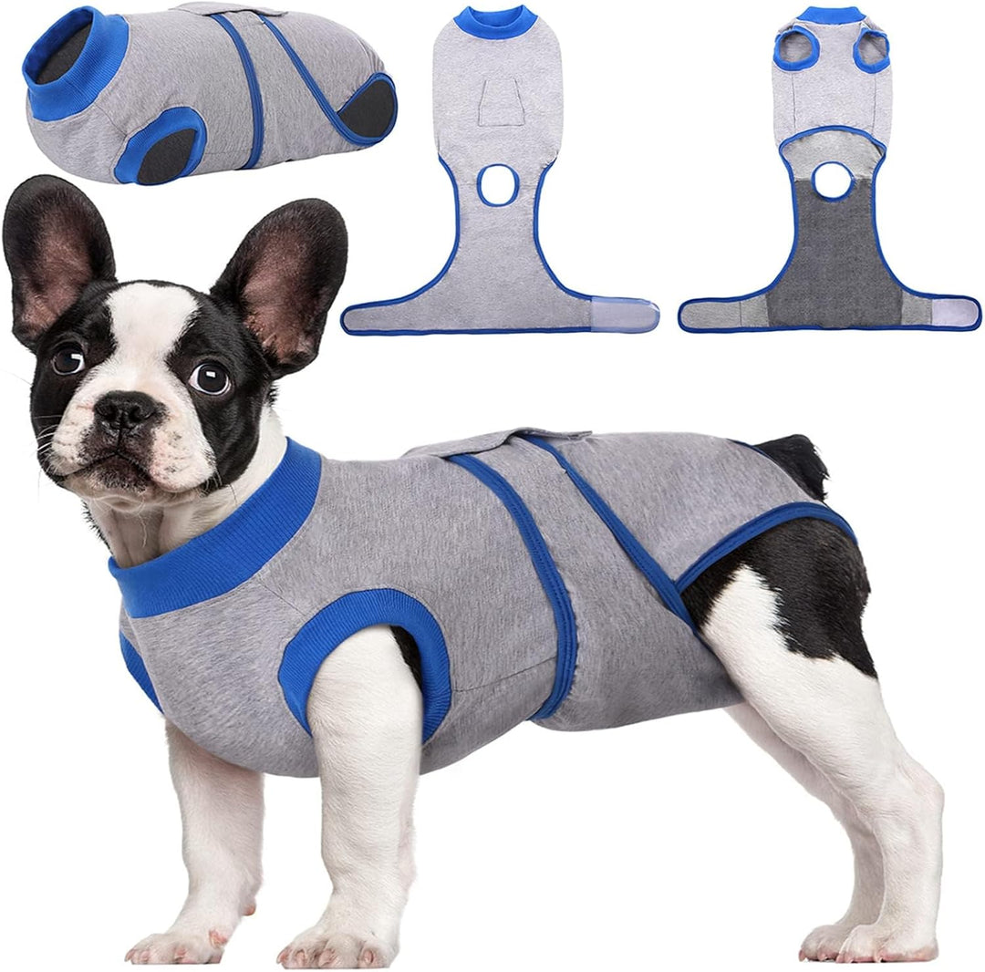 Quick Recovery Suit for Pets – Healing After Surgery-Apples-XS-State of Style