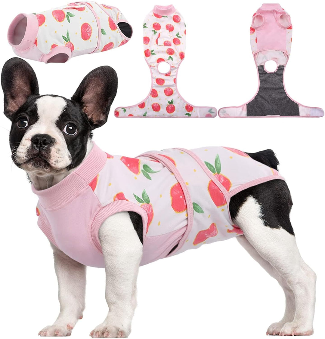 Quick Recovery Suit for Pets – Healing After Surgery-Apples-XS-State of Style