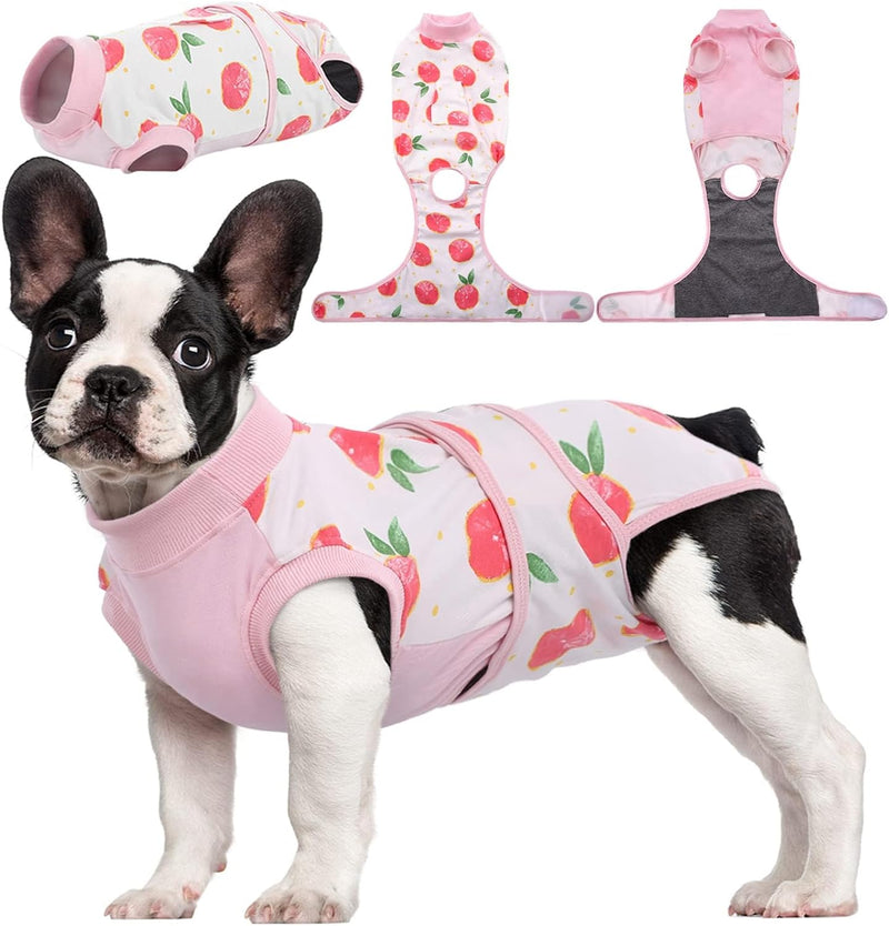 Quick Recovery Suit for Pets – Healing After Surgery-Apples-XS-State of Style