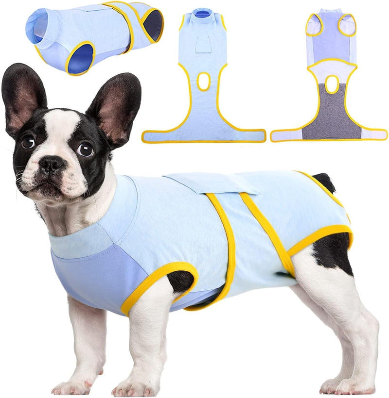 Quick Recovery Suit for Pets – Healing After Surgery-Blue-XS-State of Style