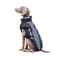 Reflective Dog Jacket with Harness - GlowPaw™-Grey-S-State of Style