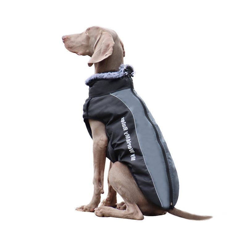 Reflective Dog Jacket with Harness - GlowPaw™-Grey-S-State of Style