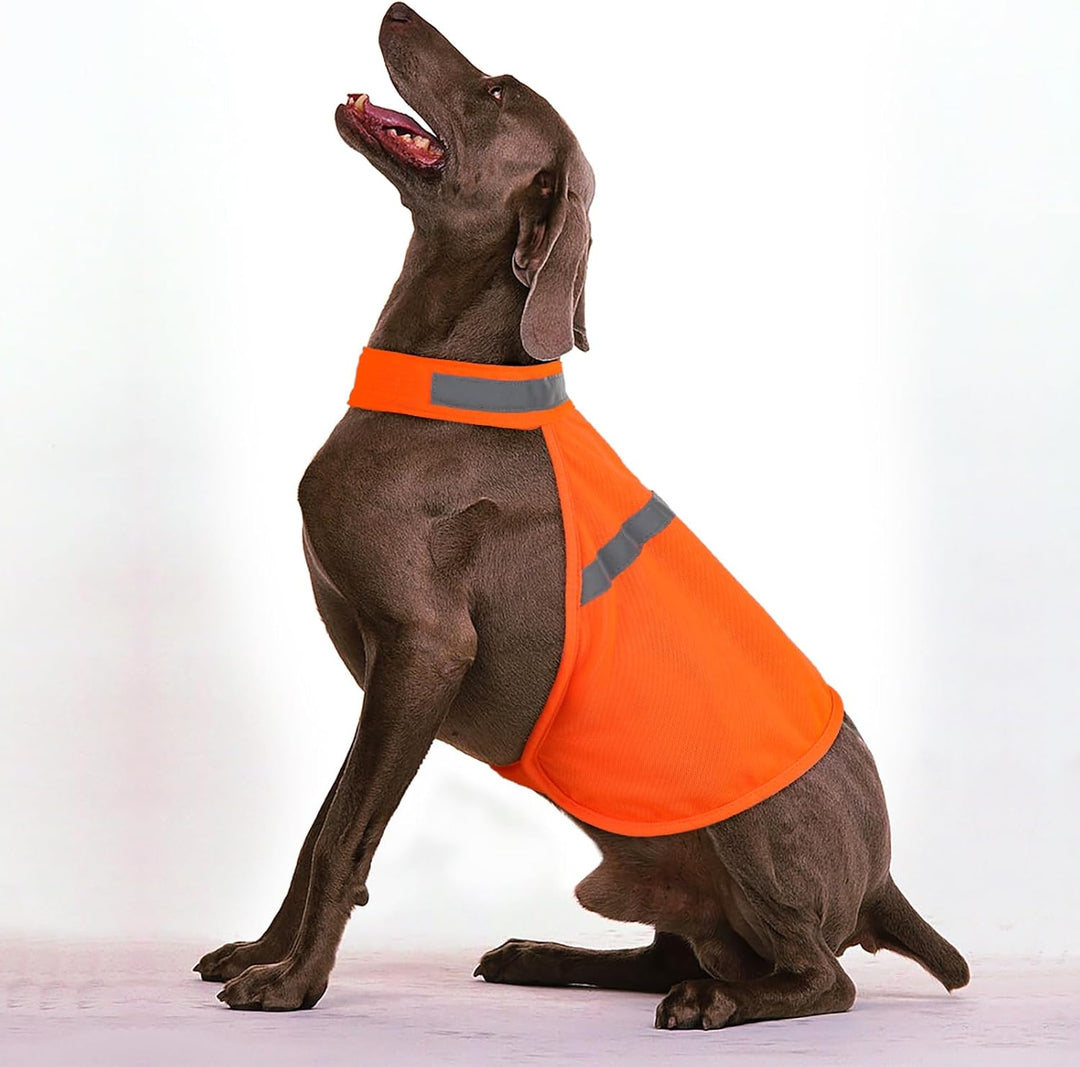 Reflective Dog Vest - Safety Vest with High Visibility-S-State of Style