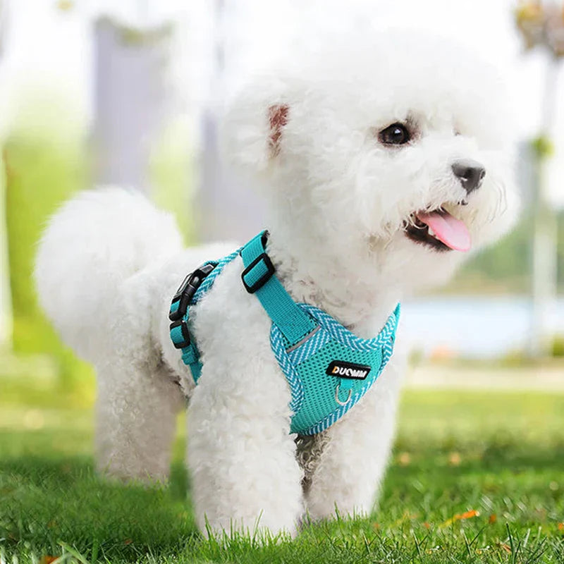 Reflective Harness and Leash Set for Small Dogs - AirFlex-Sky blue-S-State of Style