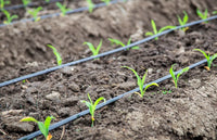 Refreshing Irrigation System - AquaCool-5M (5 sprayers)-State of Style
