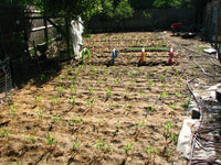 Refreshing Irrigation System - AquaCool-5M (5 sprinklers)-State of Style