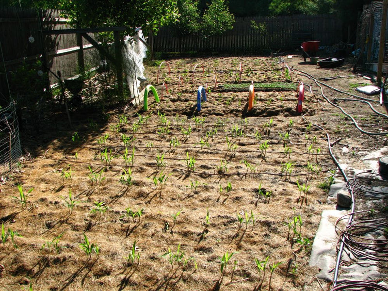 Refreshing Irrigation System - AquaCool-5M (5 sprinklers)-State of Style