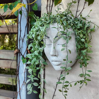 Resin Human Face Hanging Planter - FaceVibe-A-State of Style