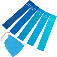 Resistance Bands Set – 5 Bands with Instructions and Storage Bag-Blue-State of Style