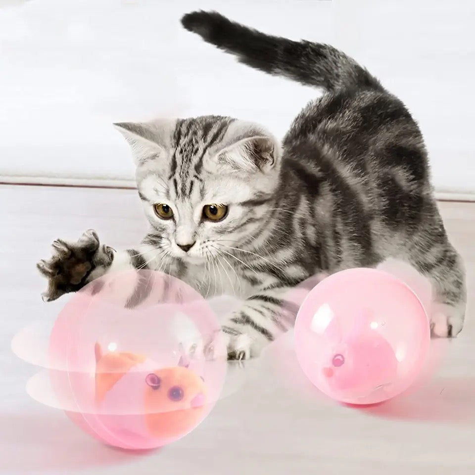 Rolling Cat Toy - FurryRoller-Hamster-State of Style