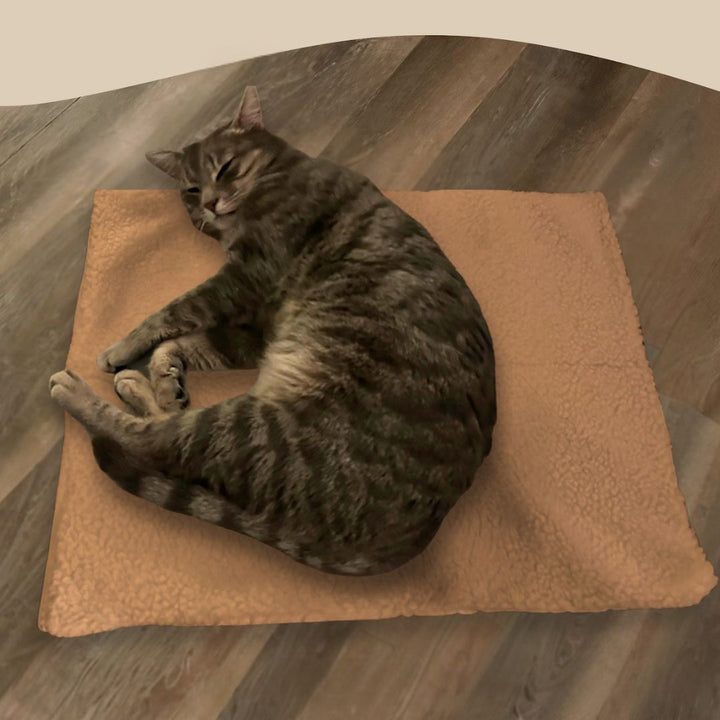 Self-Heating Cat Mat - WarmPurr™-Coffee brown - 60 cm × 45 cm-State of Style