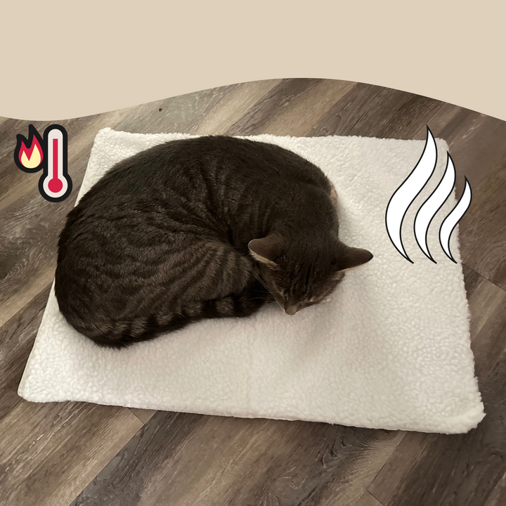 Self-Heating Cat Mat - WarmPurr™-Snow White - 60 cm × 45 cm-State of Style