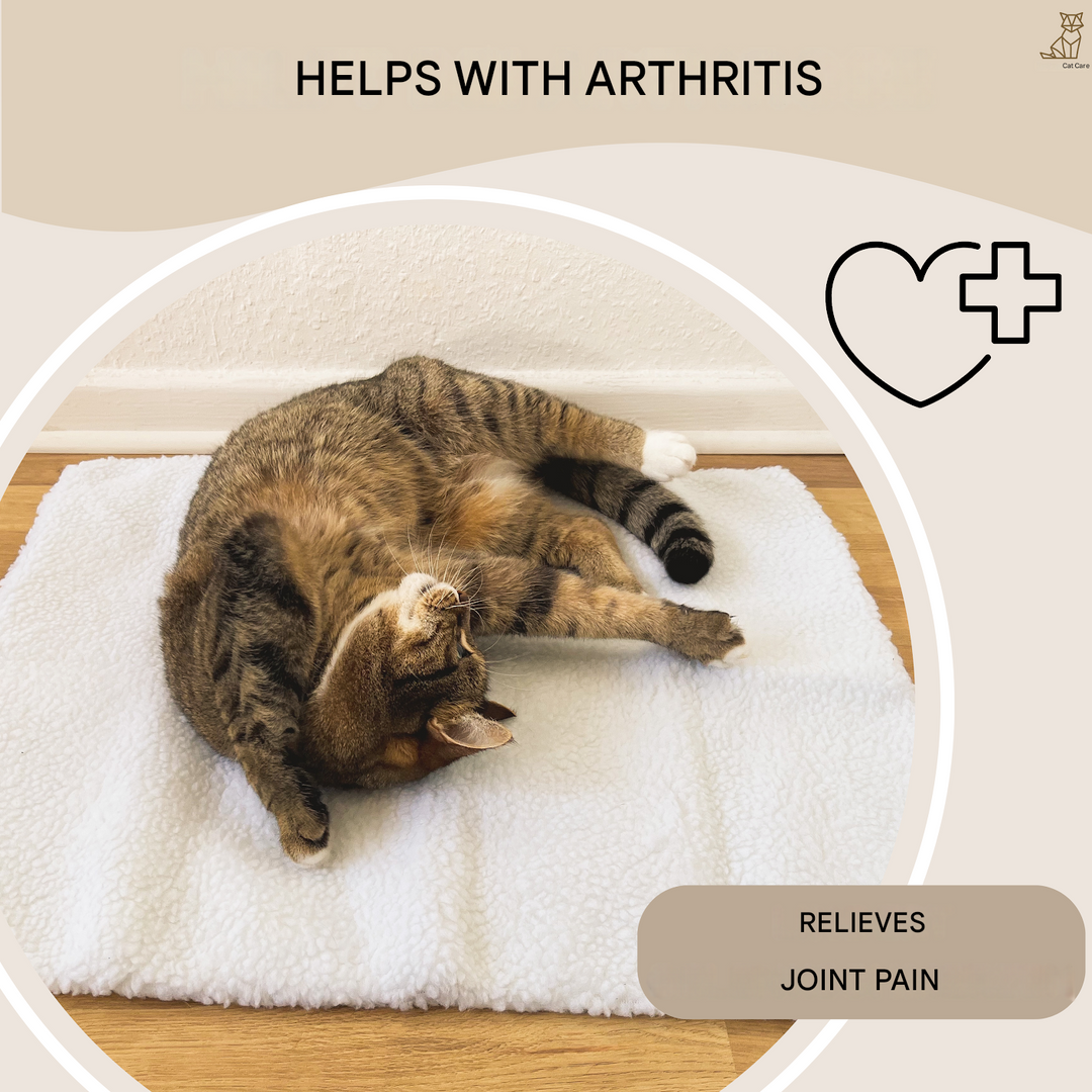 Self-Heating Cat Mat - WarmPurr™-Snow White - 60 cm × 45 cm-State of Style