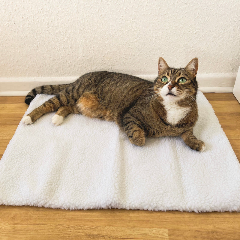 Self-Heating Cat Mat - WarmPurr™-Snow White - 60 cm × 45 cm-State of Style