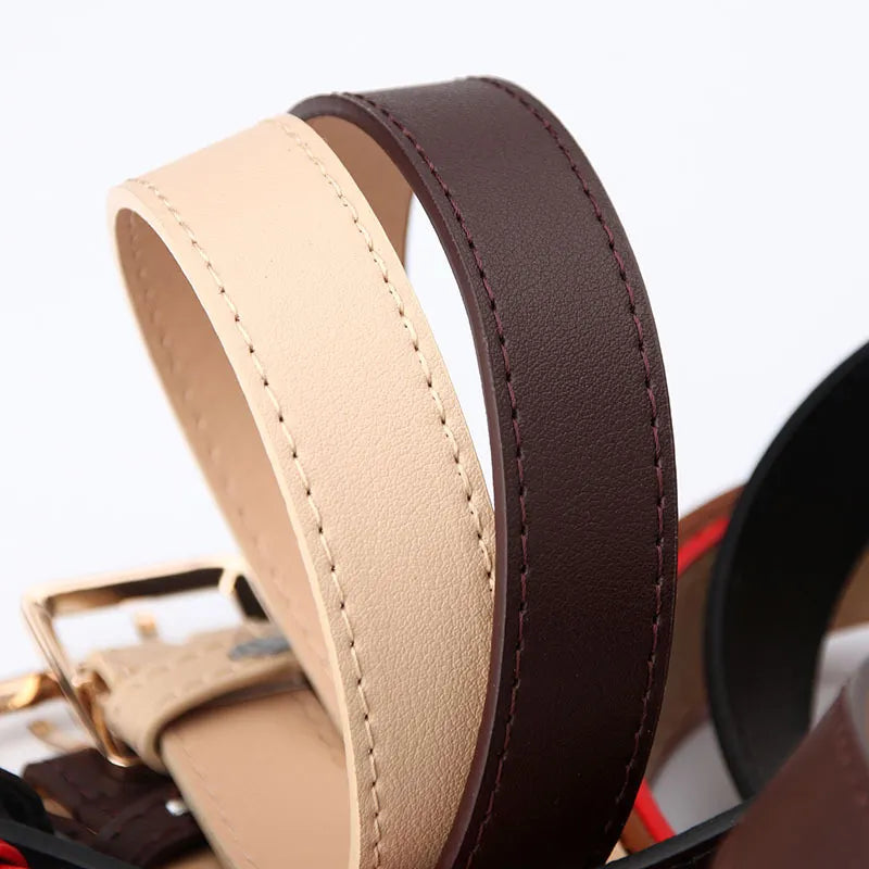 Simple Metal Buckle Belt | Sleek & Versatile-Black-State of Style