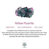 Six-Claw Natural Crystal Adjustable Ring - Liora-Fluorite-Gold-State of Style