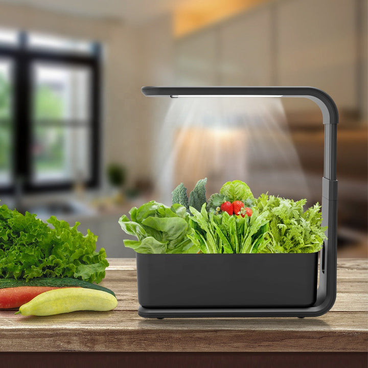 Slim Hydroponic Plant System for Indoors - GreenBloom Hydro-Black-State of Style